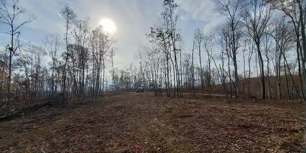 Image 3: 20251107205924335836000000-o