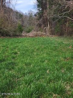 Image 2: Little Elk Creek Rd (14)