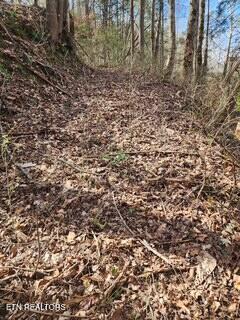 Image 4: Little Elk Creek Rd (2)