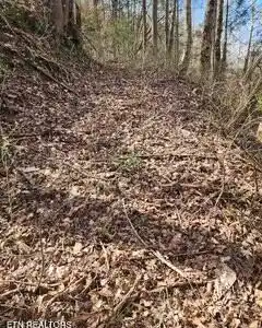 Image 4: Little Elk Creek Rd (2)