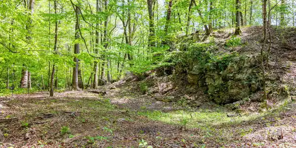8 ac +/-Tollgate Rd