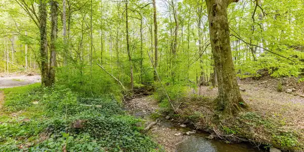 Image 2: 2-web-or-mls-3F1A4972-HDR