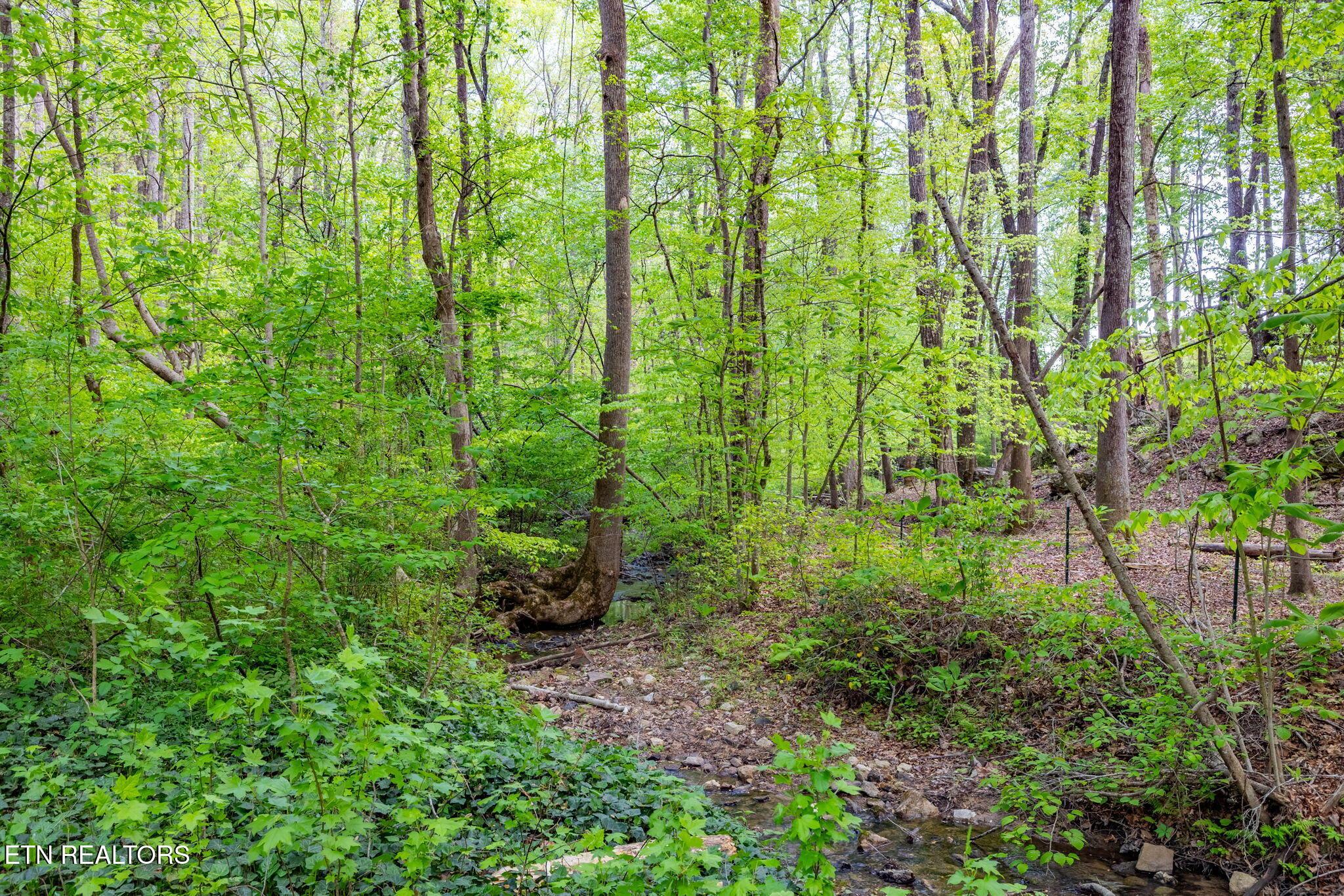 Image 3: 3-web-or-mls-3F1A4975-HDR