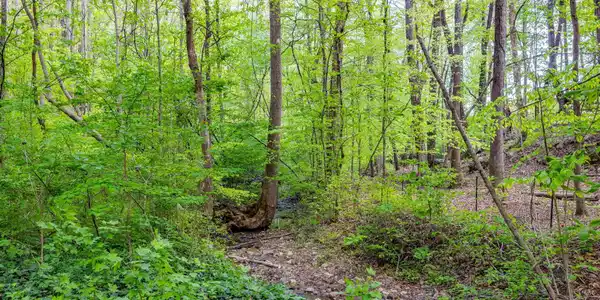 Image 3: 3-web-or-mls-3F1A4975-HDR