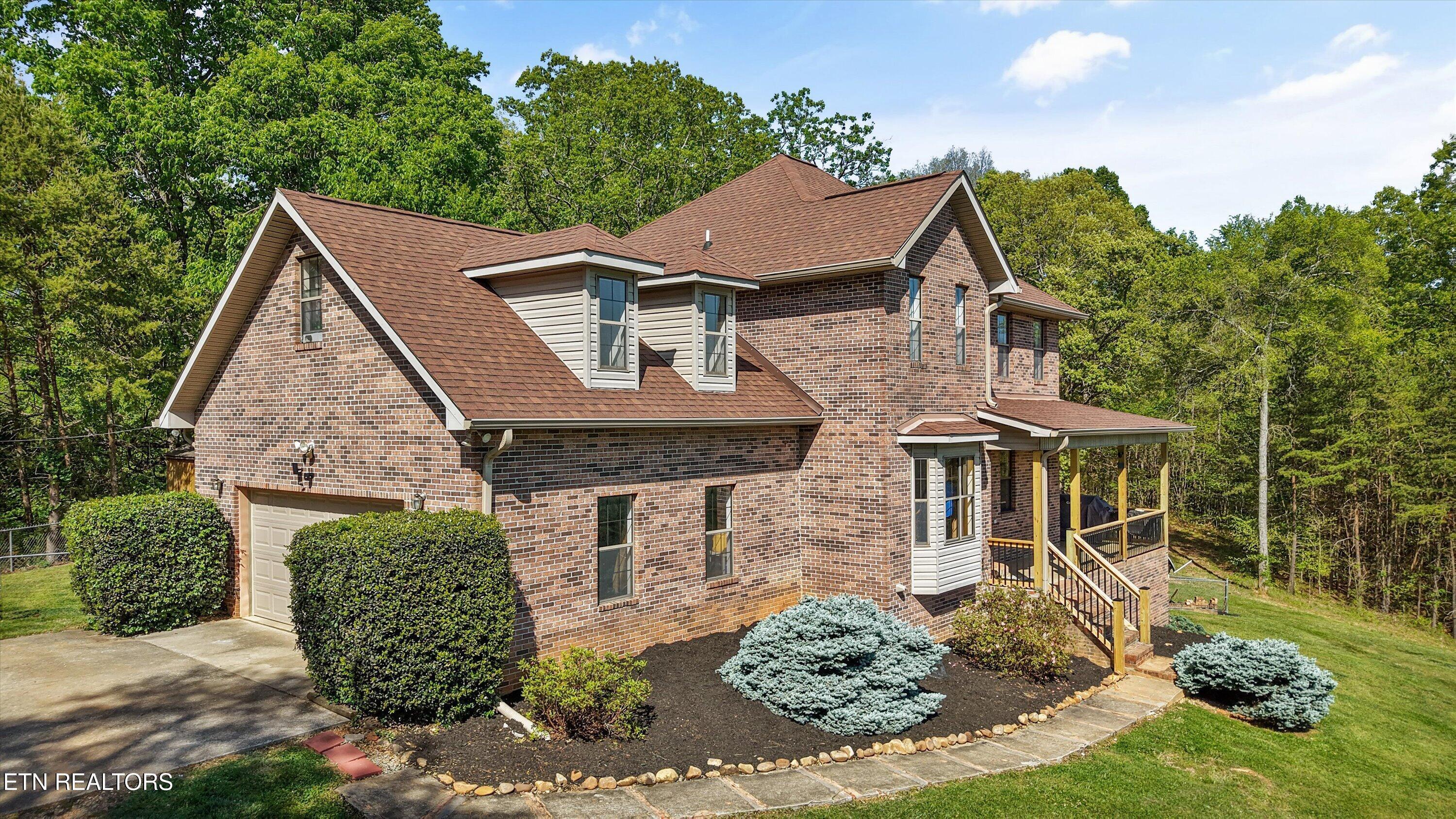 Image 4: 02-2869 Persian Ln57