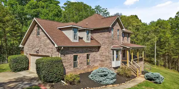 Image 4: 02-2869 Persian Ln57