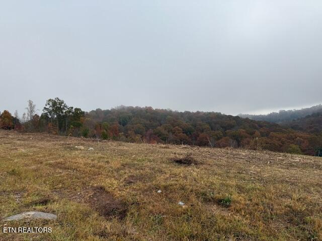 Image 3: land view looking to back