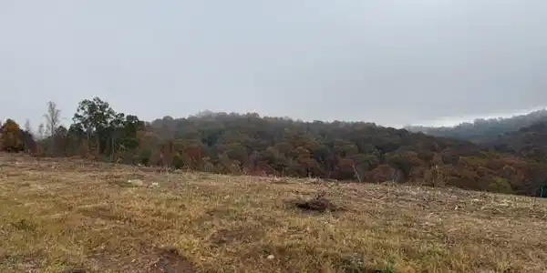 Image 3: land view looking to back