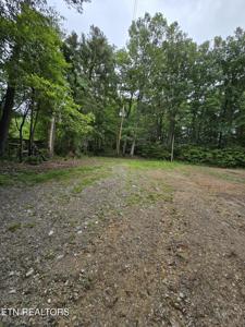 689 Ivey Hollow Rd