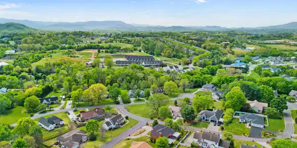 Image 3: Drone View