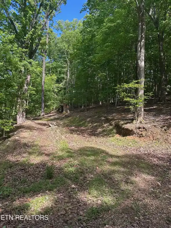 Image 1: Entrance 2