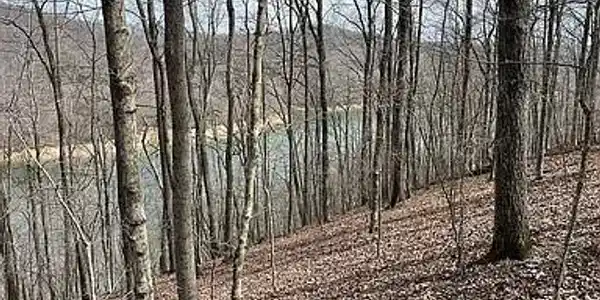 Image 2: Lot Picture 2