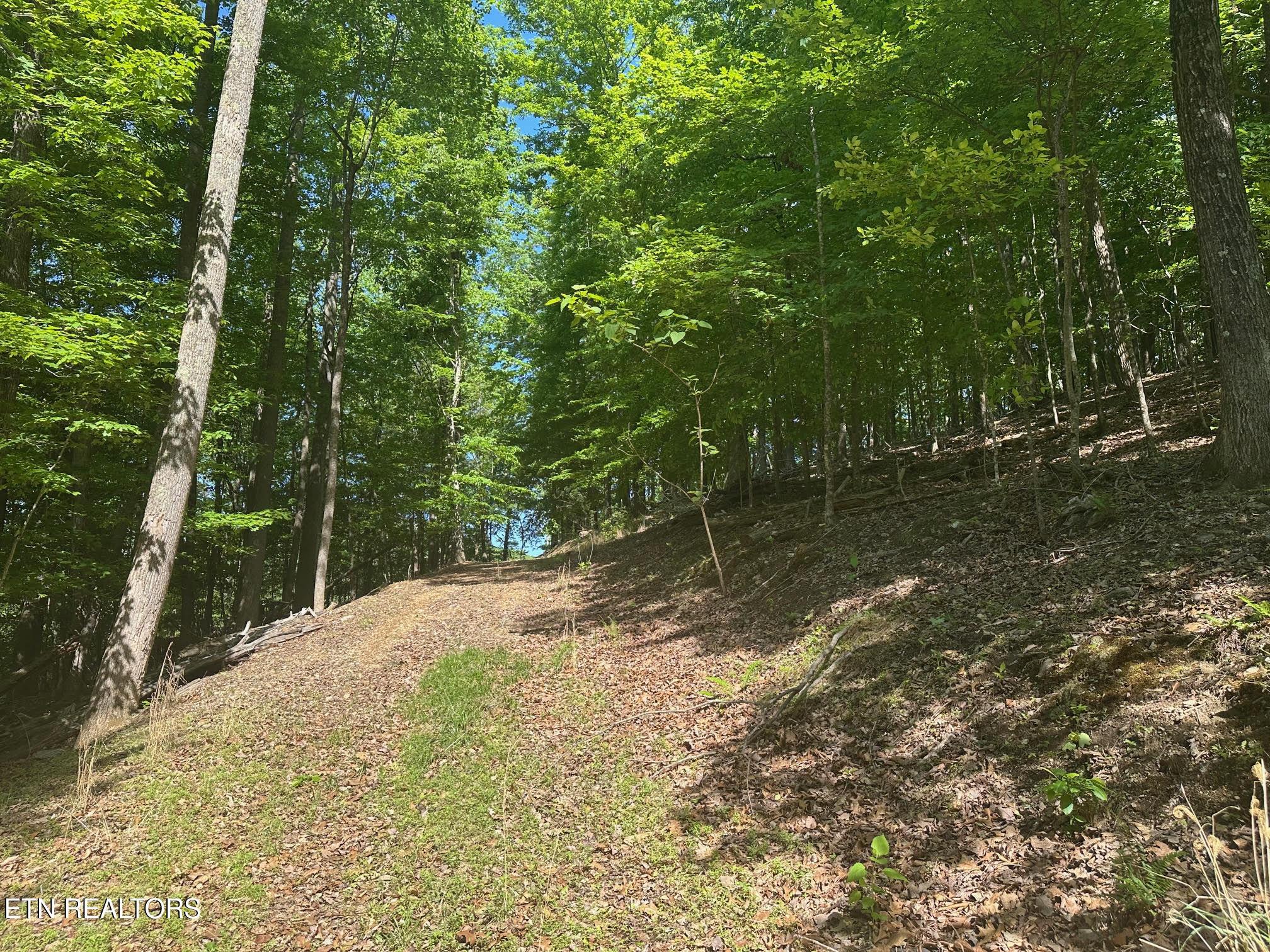 Image 3: driveway
