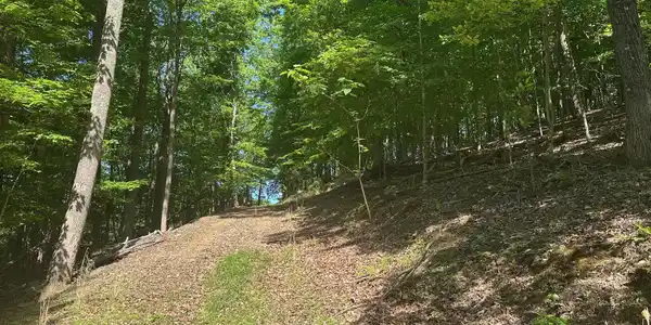 Image 3: driveway