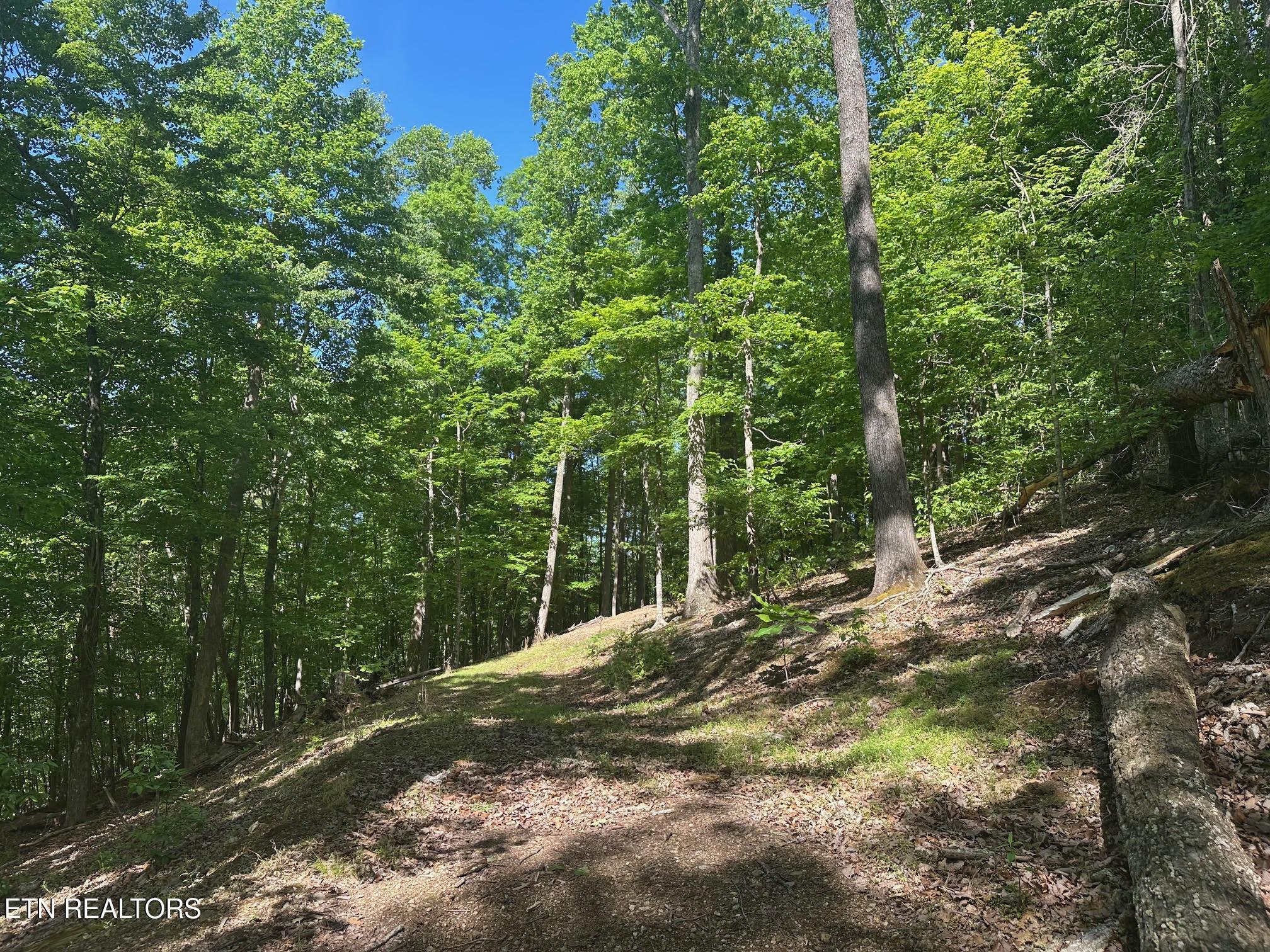 Image 4: driveway2