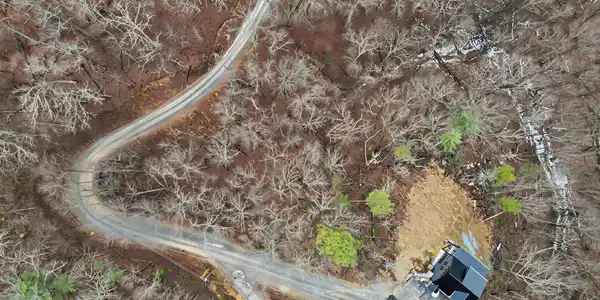 Sugar Maple Loop Rd