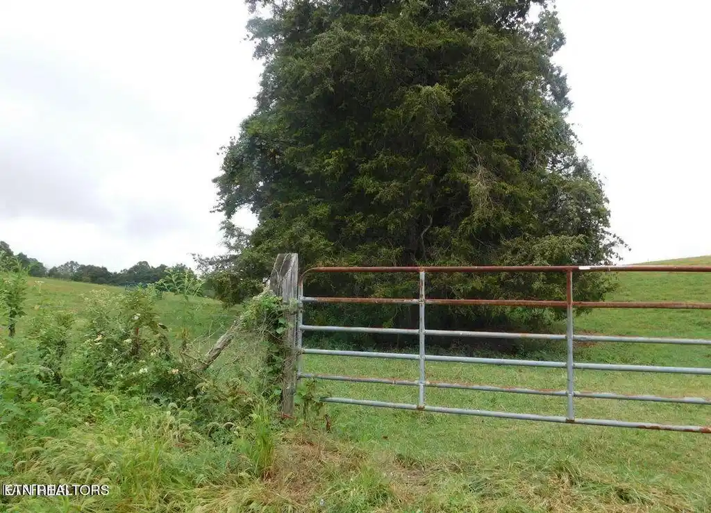 Image 1: lot1a
