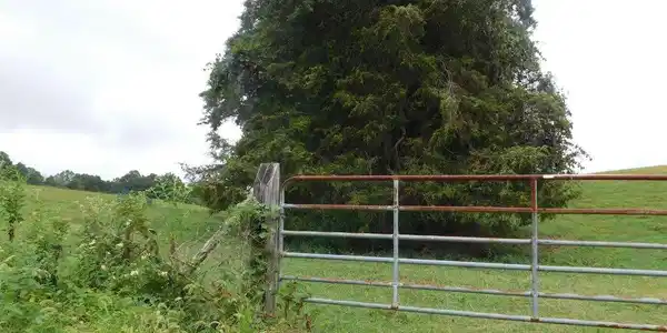 Lot 1 Chapman Rd