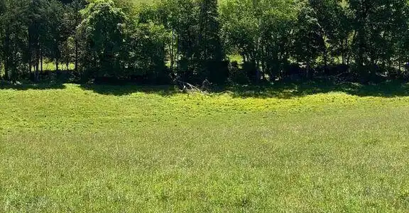 Lot 3 Chapman Rd