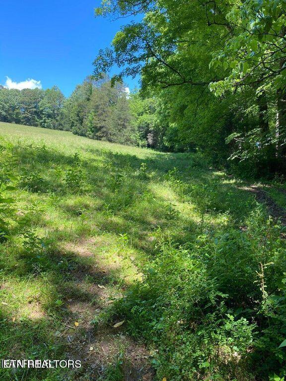 Image 3: lot6