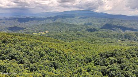 Tract 31 Chilhowee Trail