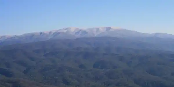Image 3: 1