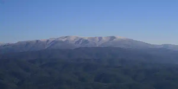 Image 4: 2