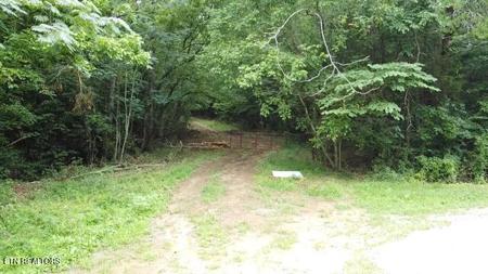 171 acres Scenic River Rd