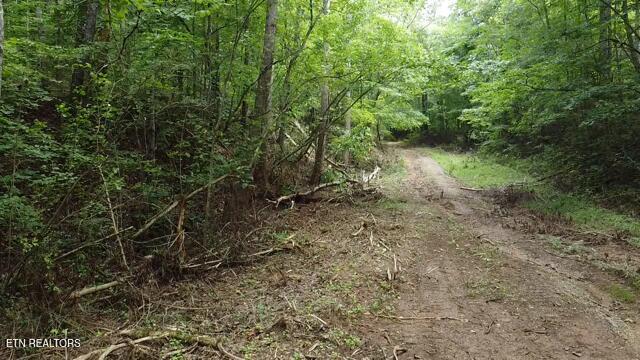 Image 3: 2025-08-10-11-27-33-337