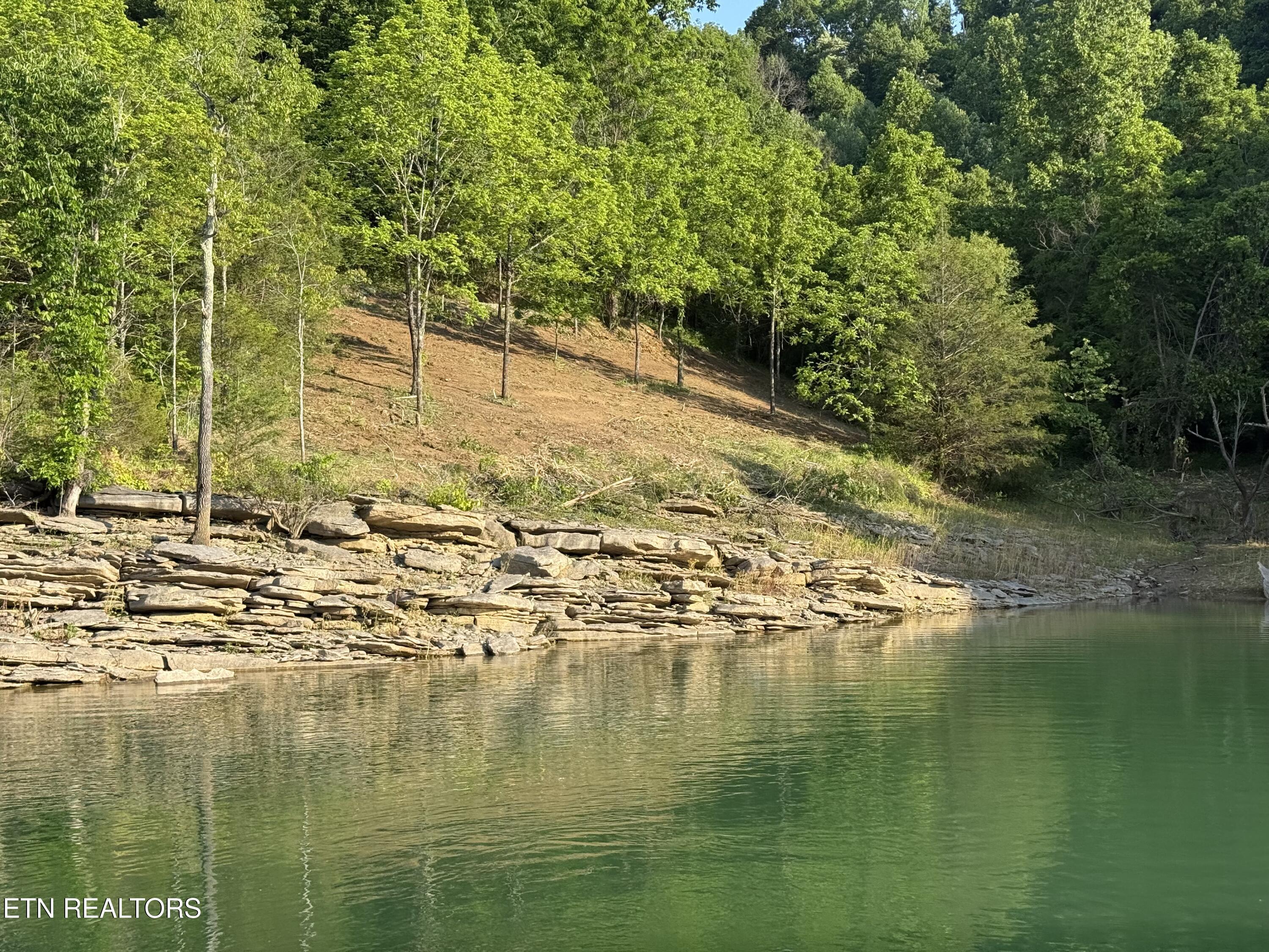 Image 4: Property Shoreline