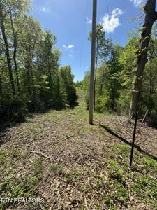 Honey Creek Loop Rd