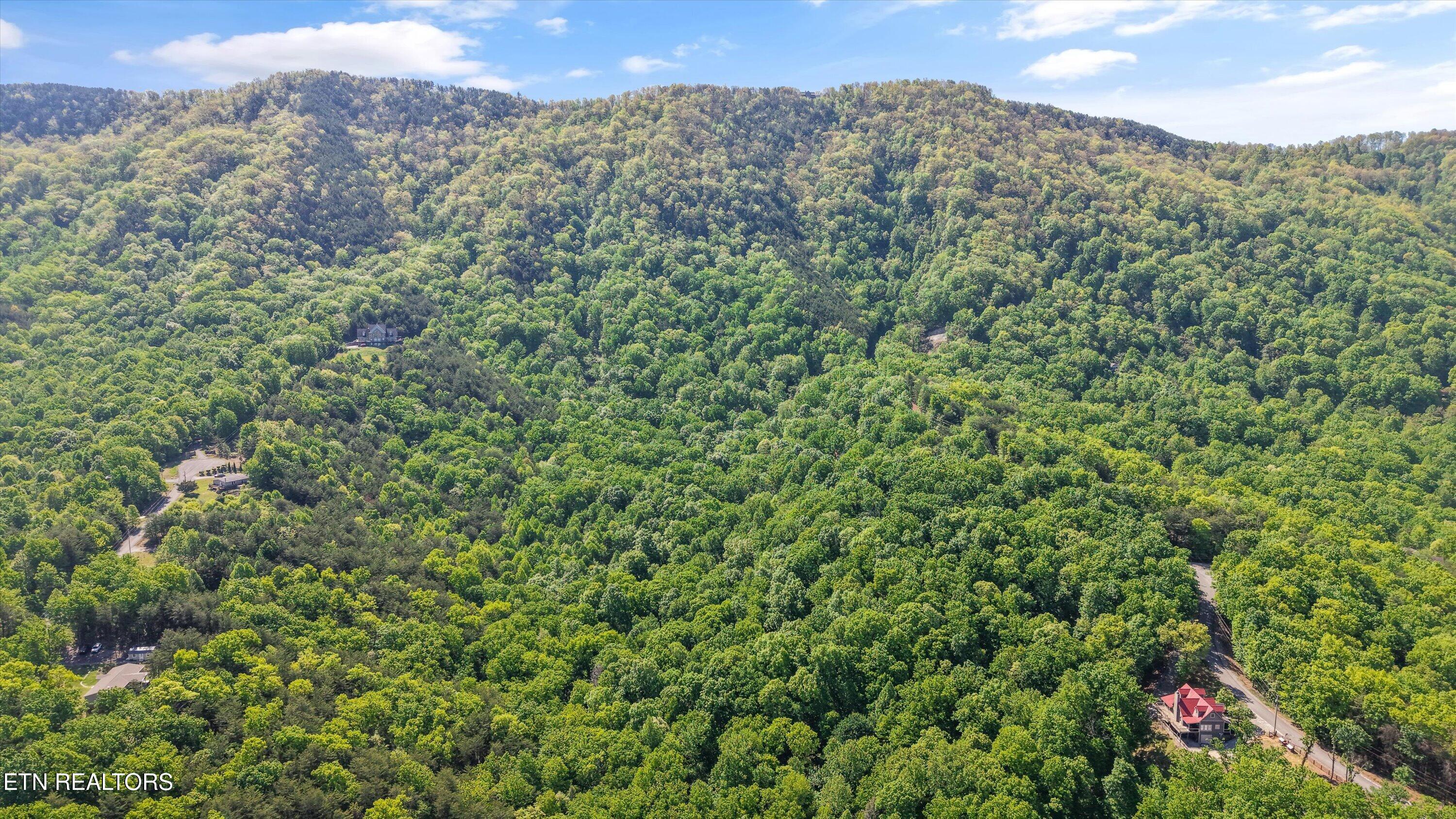 Image 2: 01-Chilhowee Trail Tract 77-08