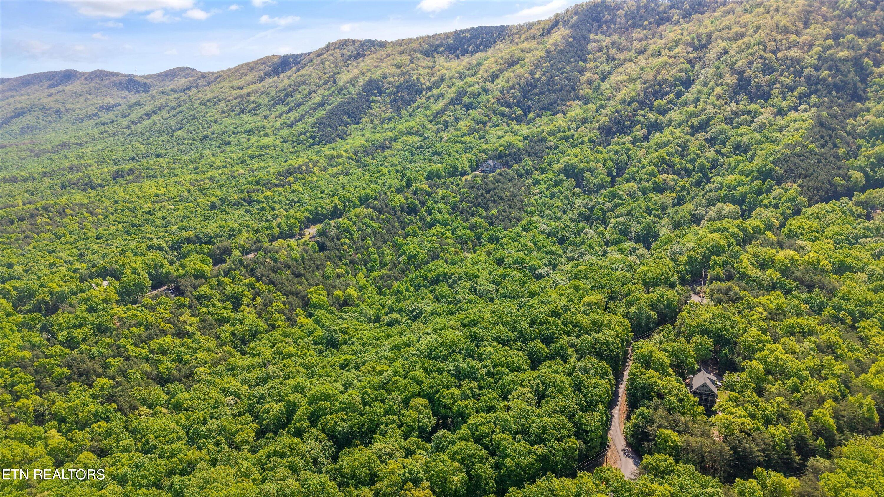 Image 3: 02-Chilhowee Trail Tract 77-04