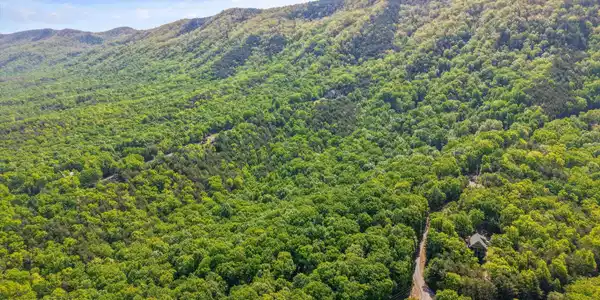 Image 3: 02-Chilhowee Trail Tract 77-04