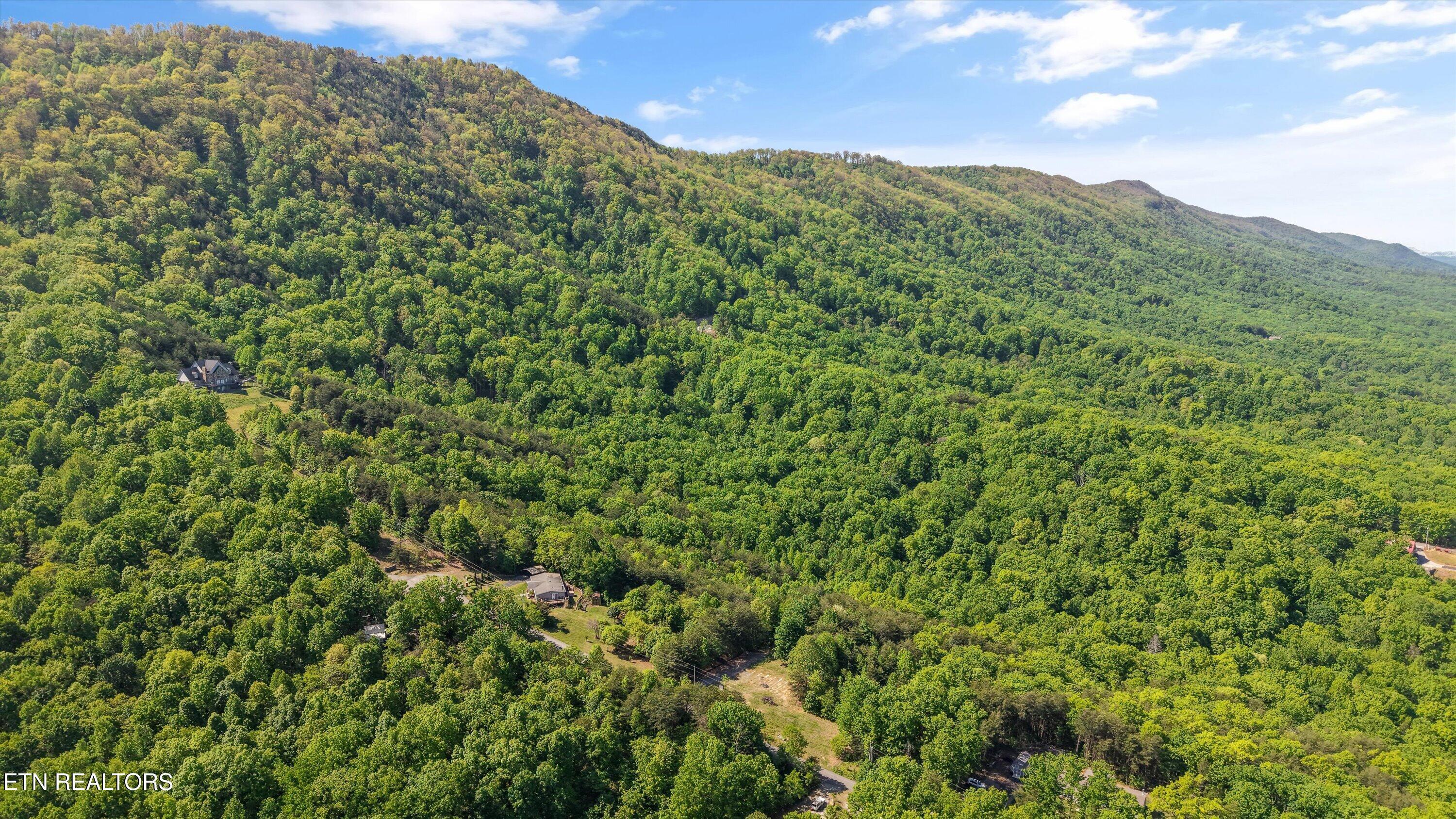 Image 4: 03-Chilhowee Trail Tract 77-05