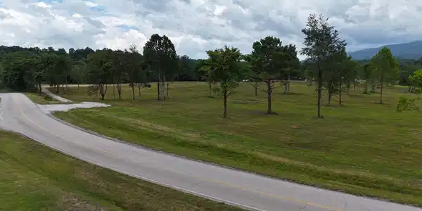 Image 3: dji95fly952 (36)