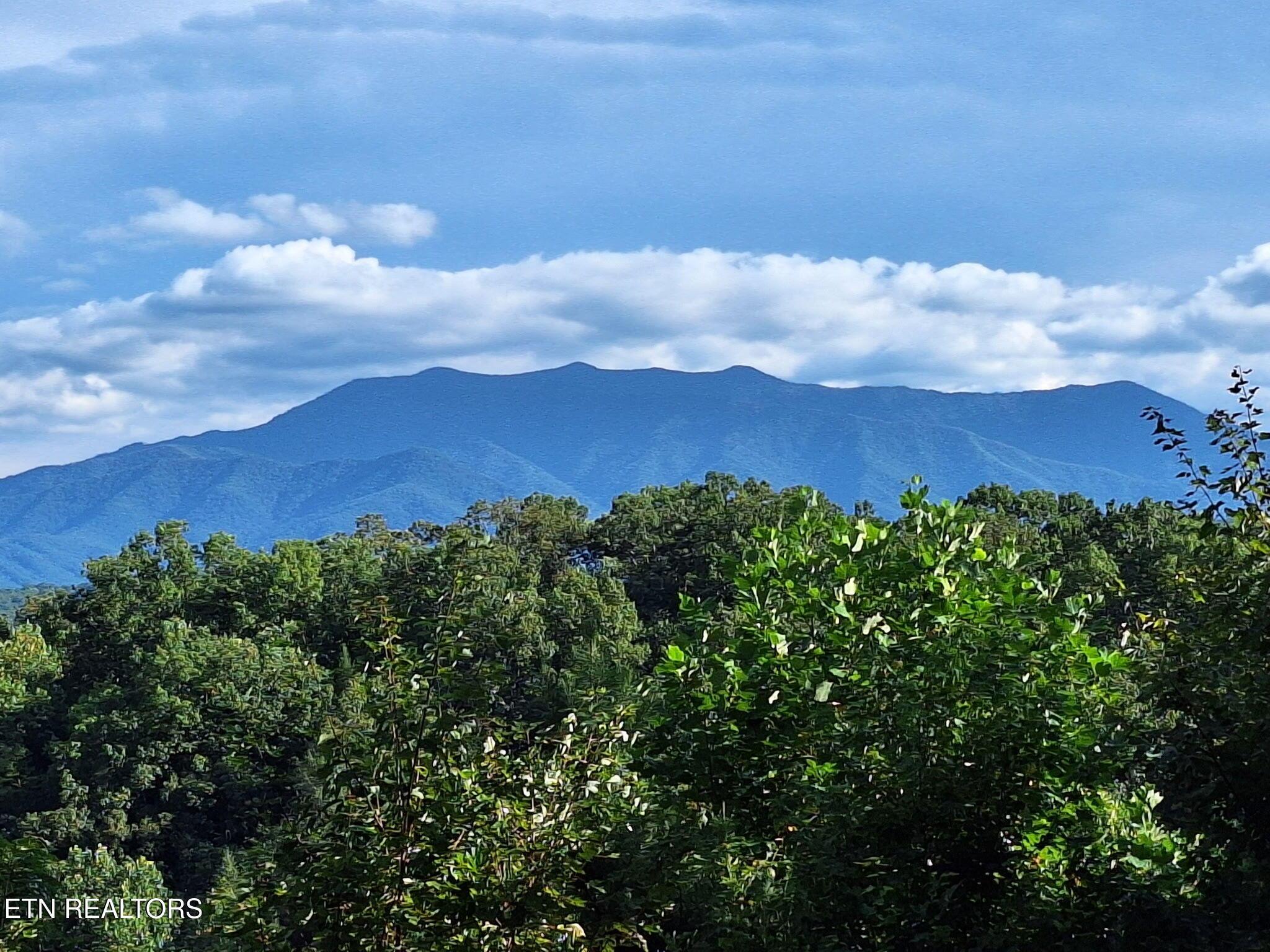 Image 2: 4796404276996802001