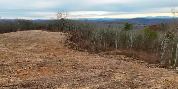 Laurel Bluff Rd