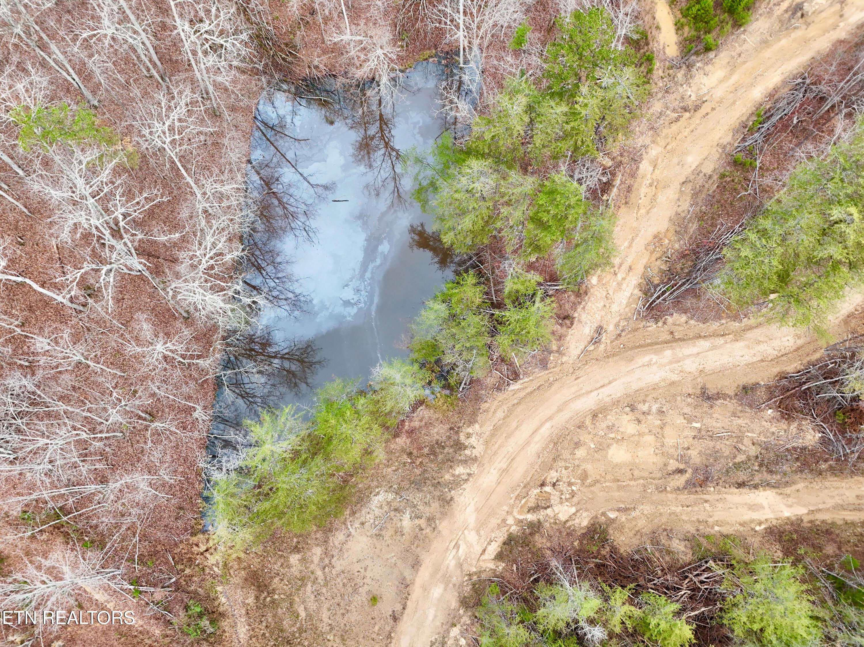 Image 4: Roane Co TN 396 20251127_04