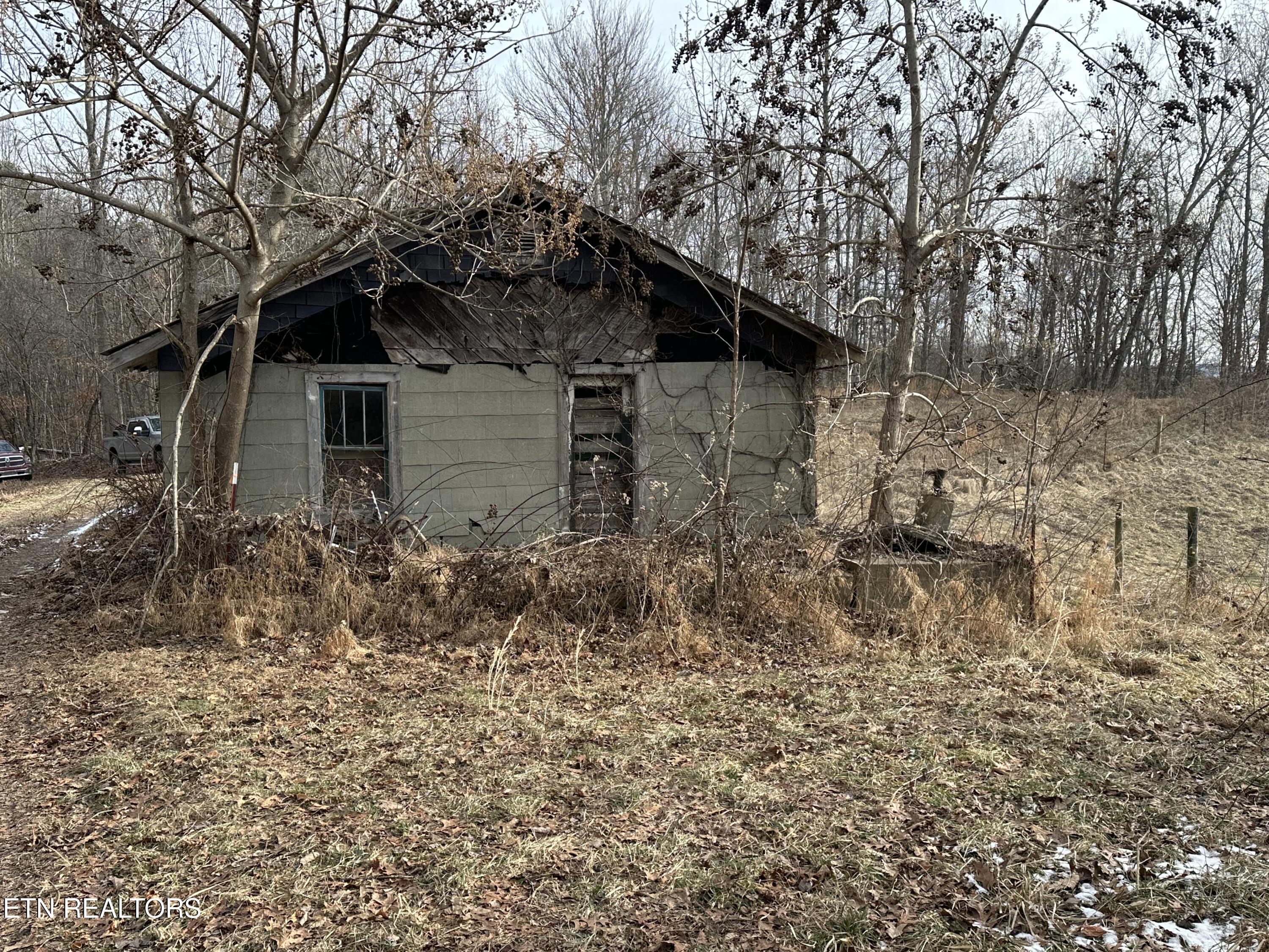 Image 4: IMG_8180