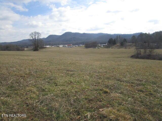 Image 4: IMG_4345