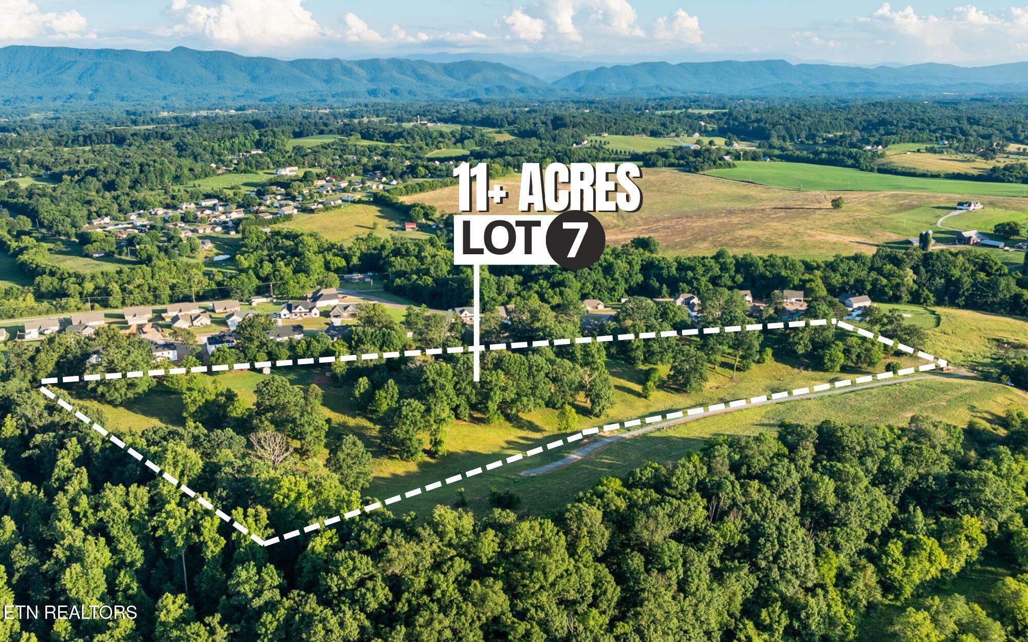 Image 1: LOT 7
