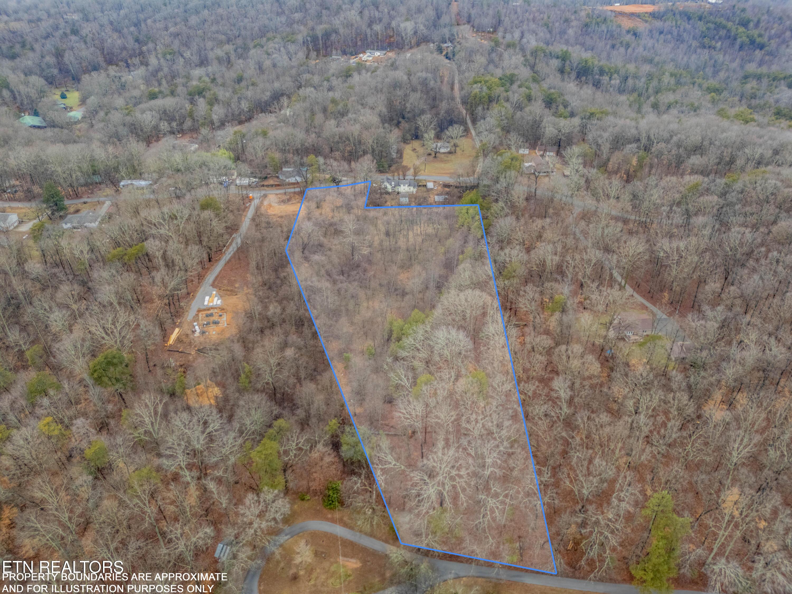 Image 2: DJI_20260204214715_0957_D-HDR-LOT-LINES