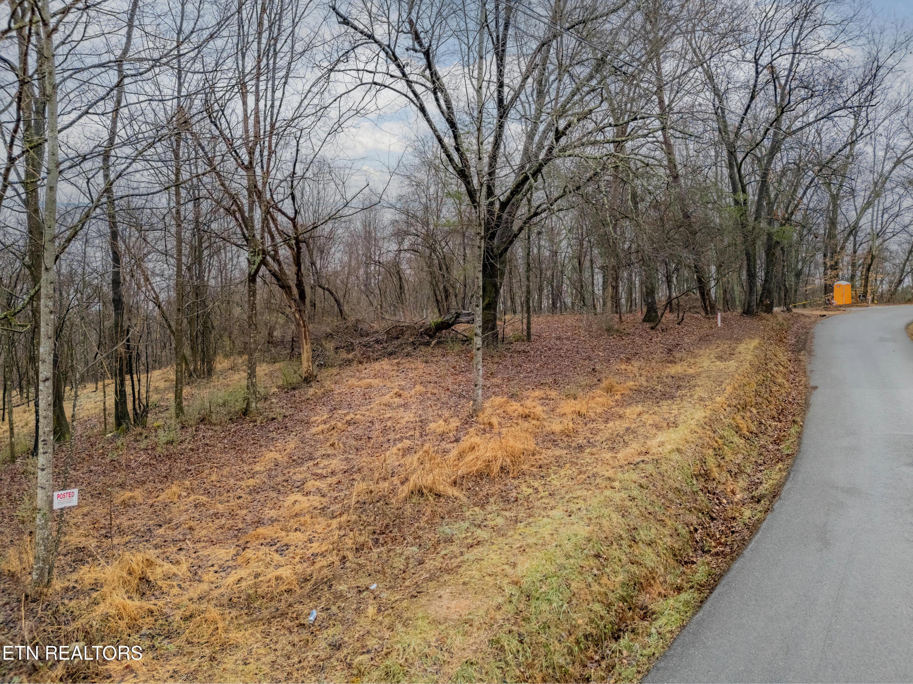 Image 3: DJI_20260204215303_0013_D-HDR