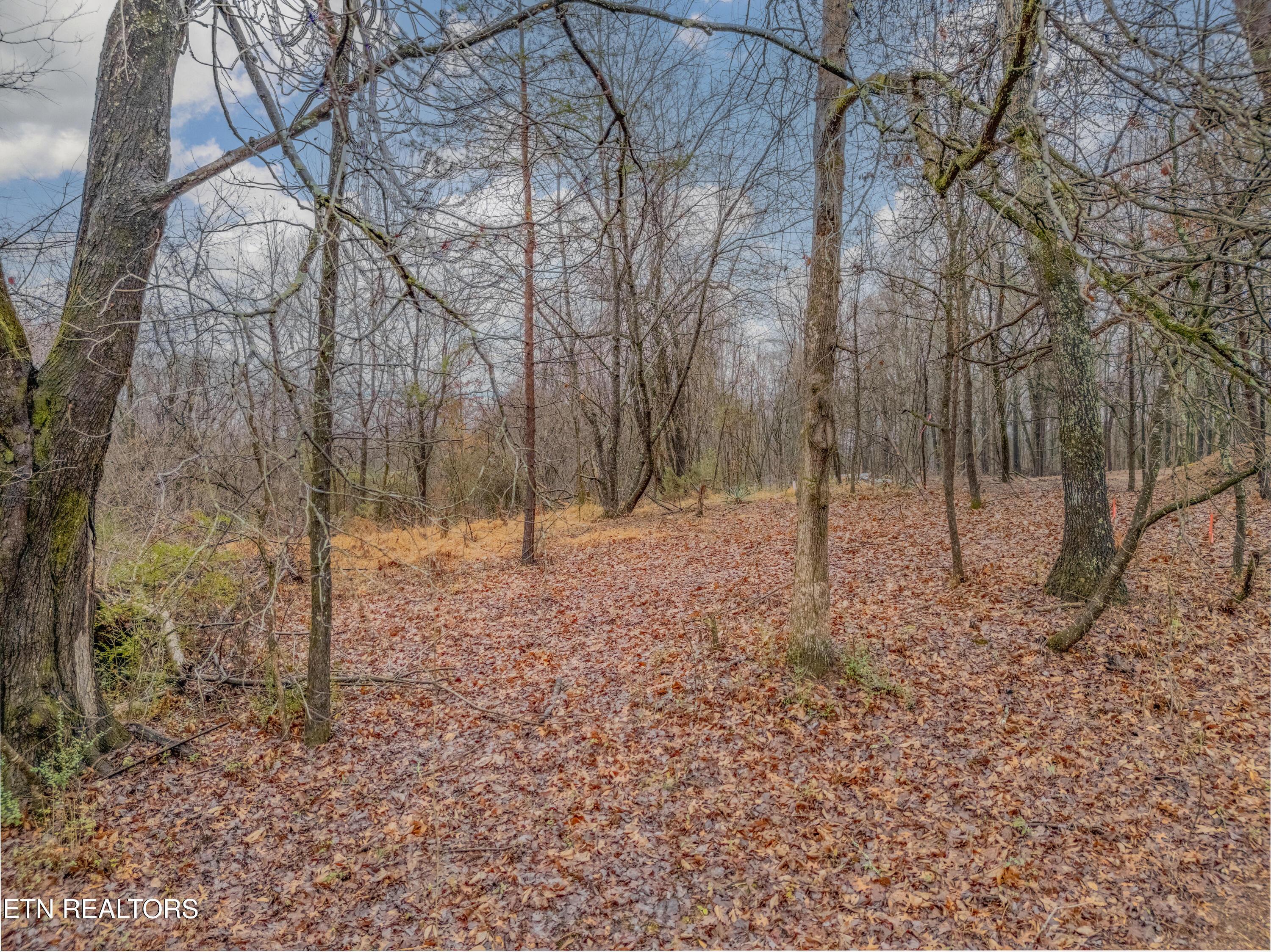 Image 4: DJI_20260204215217_0008_D-HDR