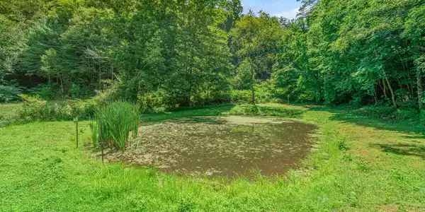 Image 4: 66-web-or-mls-131 Pear Tree Way