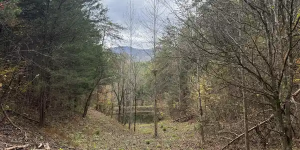Sugar Loaf -13.5 acres Rd