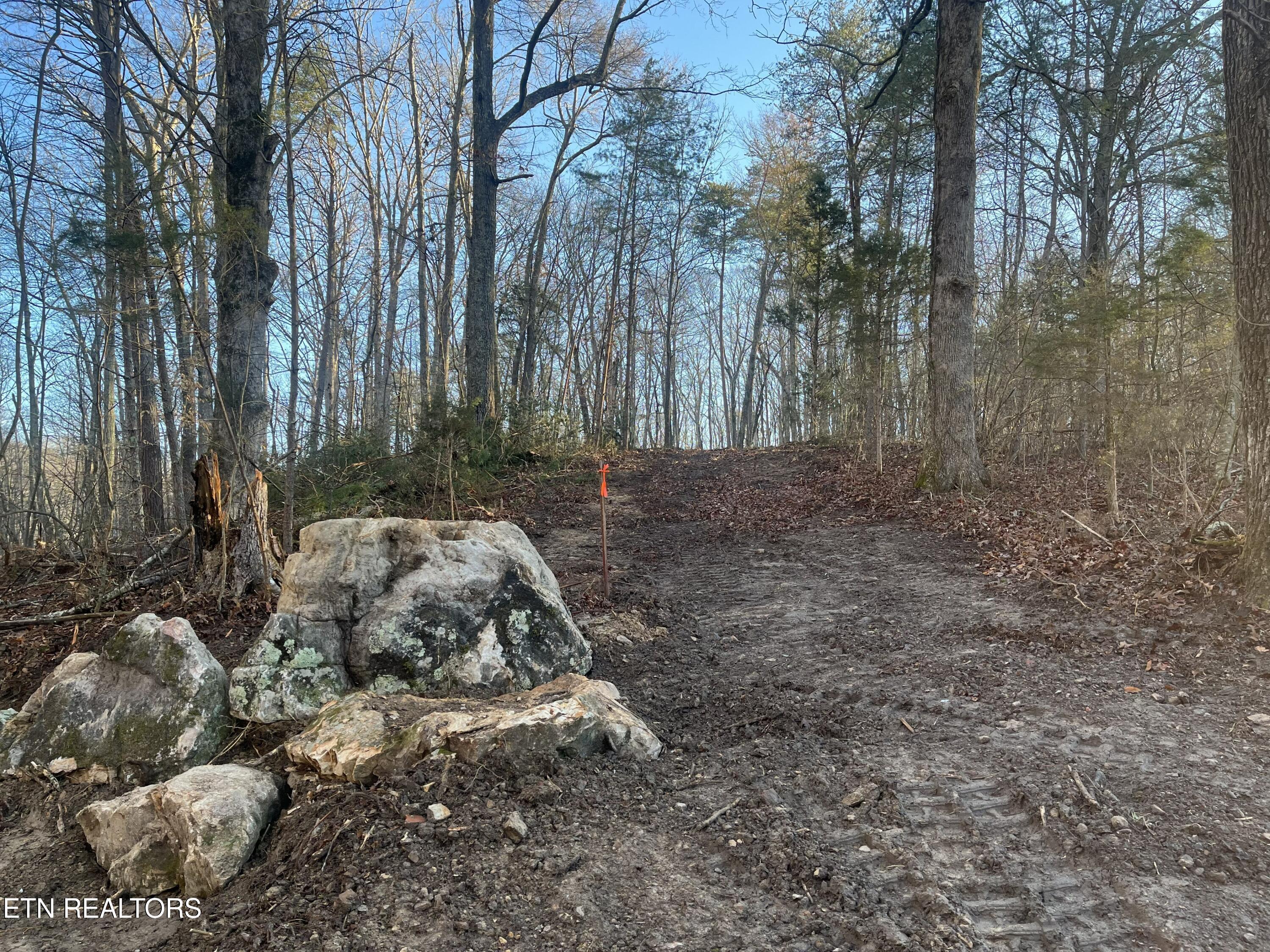 Image 3: Old Spencer