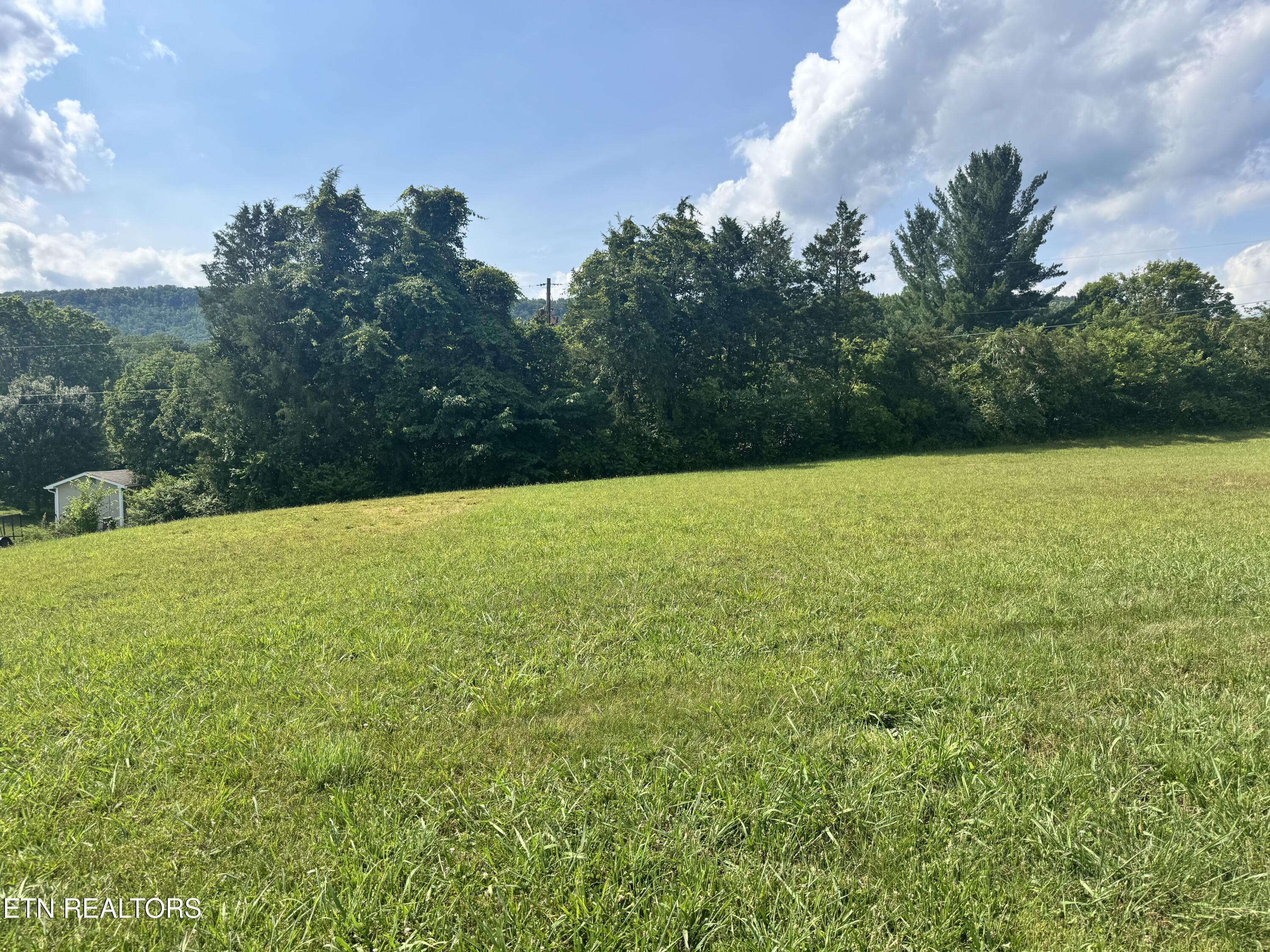 Image 2: IMG_8364