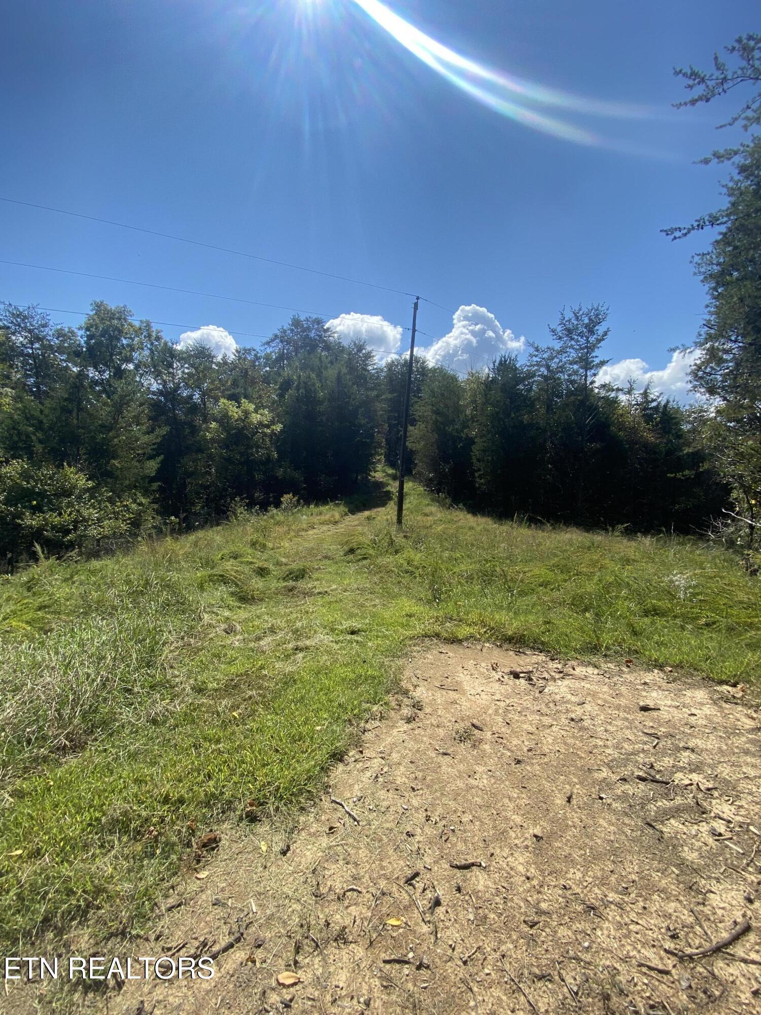Image 2: 2